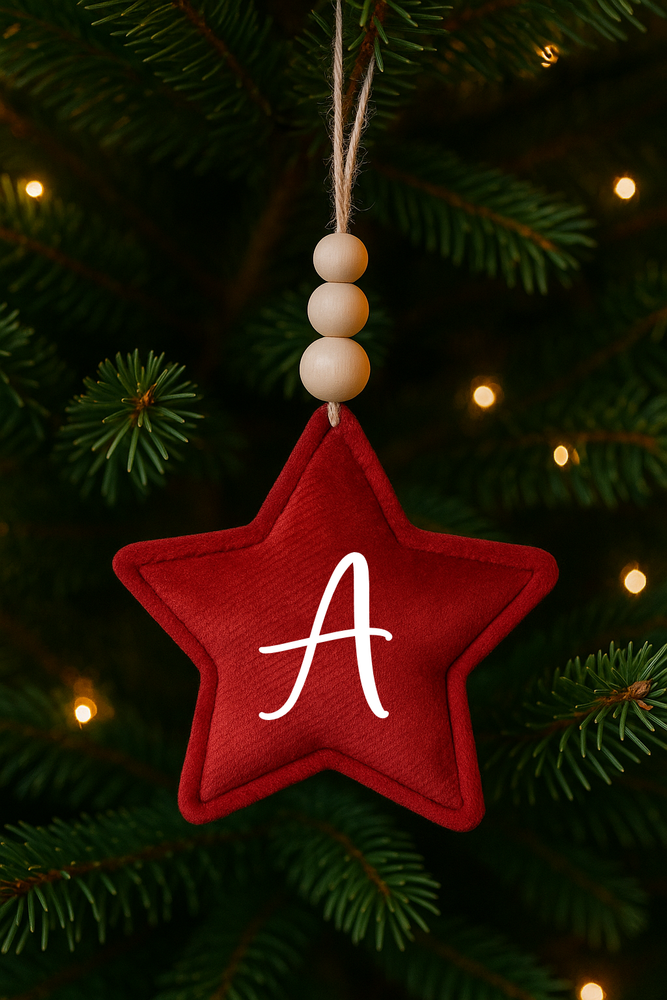 Decorazione natalizia personalizzata con iniziale | Addobbo albero di Natale in velluto Stella boho rustica fatta a mano Idea regalo Natale