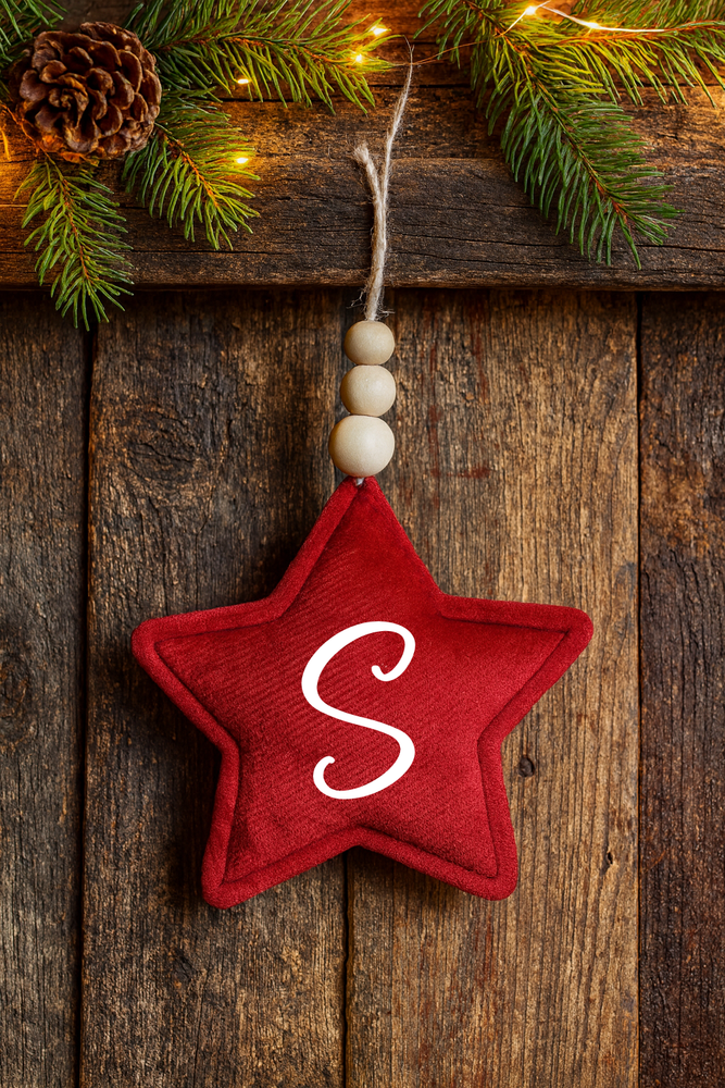 Decorazione natalizia personalizzata con iniziale | Addobbo albero di Natale in velluto Stella boho rustica fatta a mano Idea regalo Natale